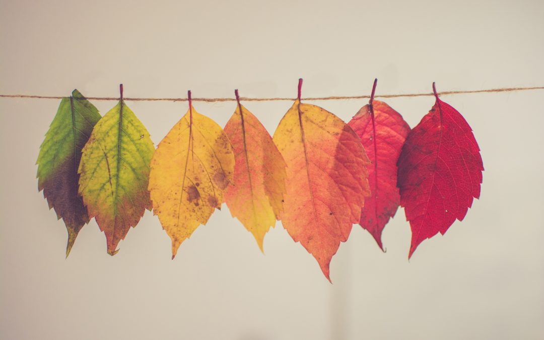 How We Change
